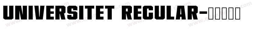 Universitet Regular字体转换